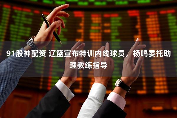 91股神配资 辽篮宣布特训内线球员，杨鸣委托助理教练指导