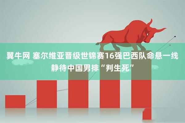 翼牛网 塞尔维亚晋级世锦赛16强巴西队命悬一线静待中国男排“判生死”
