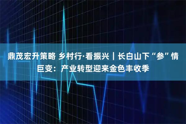 鼎茂宏升策略 乡村行·看振兴｜长白山下“参”情巨变：产业转型迎来金色丰收季