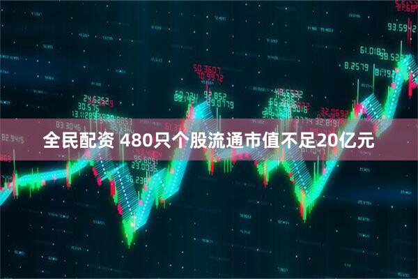 全民配资 480只个股流通市值不足20亿元